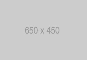 650x450